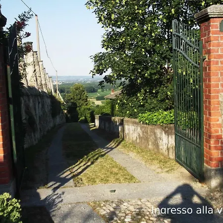 Il Pettirosso